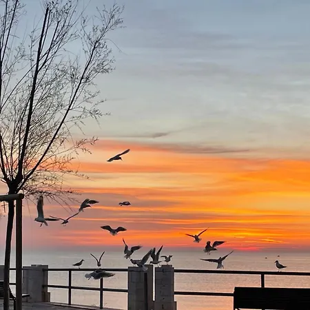 Roof Appartement Monopoli