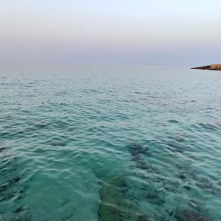 شقة Roof مونوبولي