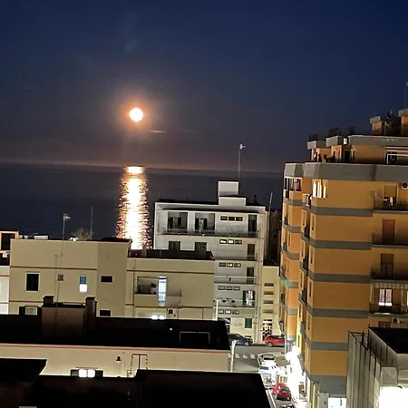 Roof * مونوبولي