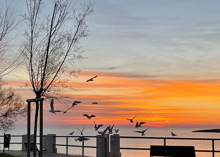 Roof Appartement Monopoli